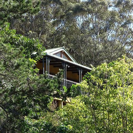 Intaba Lodge Hout Bay Kültér fotó