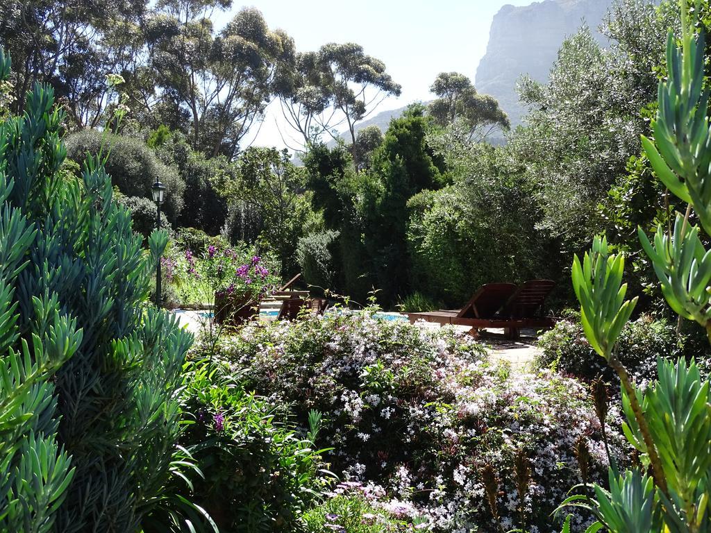 Intaba Lodge Hout Bay Kültér fotó