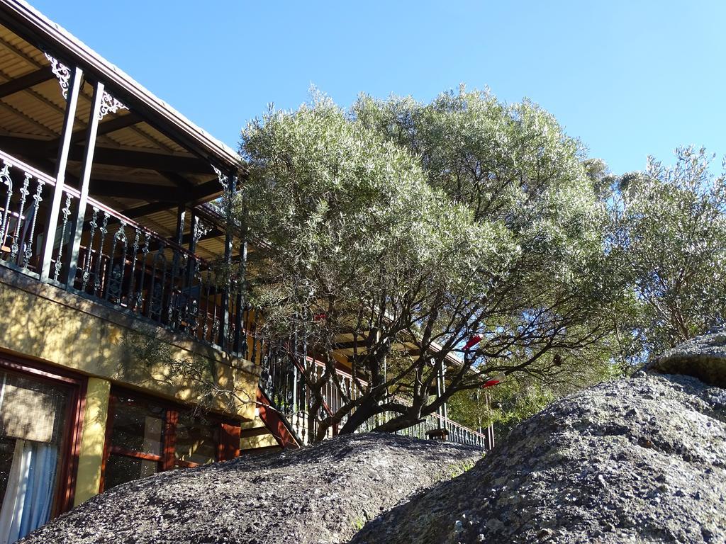 Intaba Lodge Hout Bay Kültér fotó