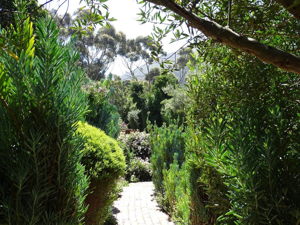 Intaba Lodge Hout Bay Kültér fotó