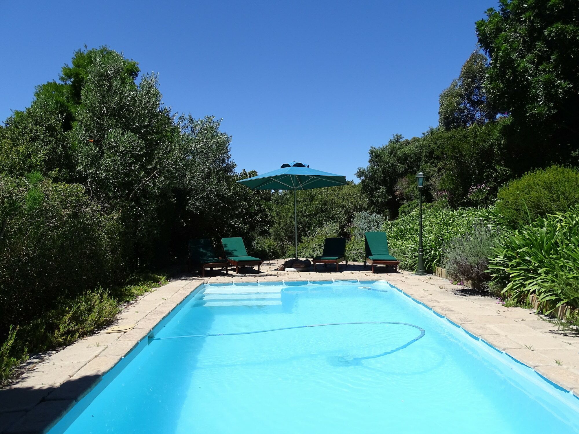 Intaba Lodge Hout Bay Kültér fotó