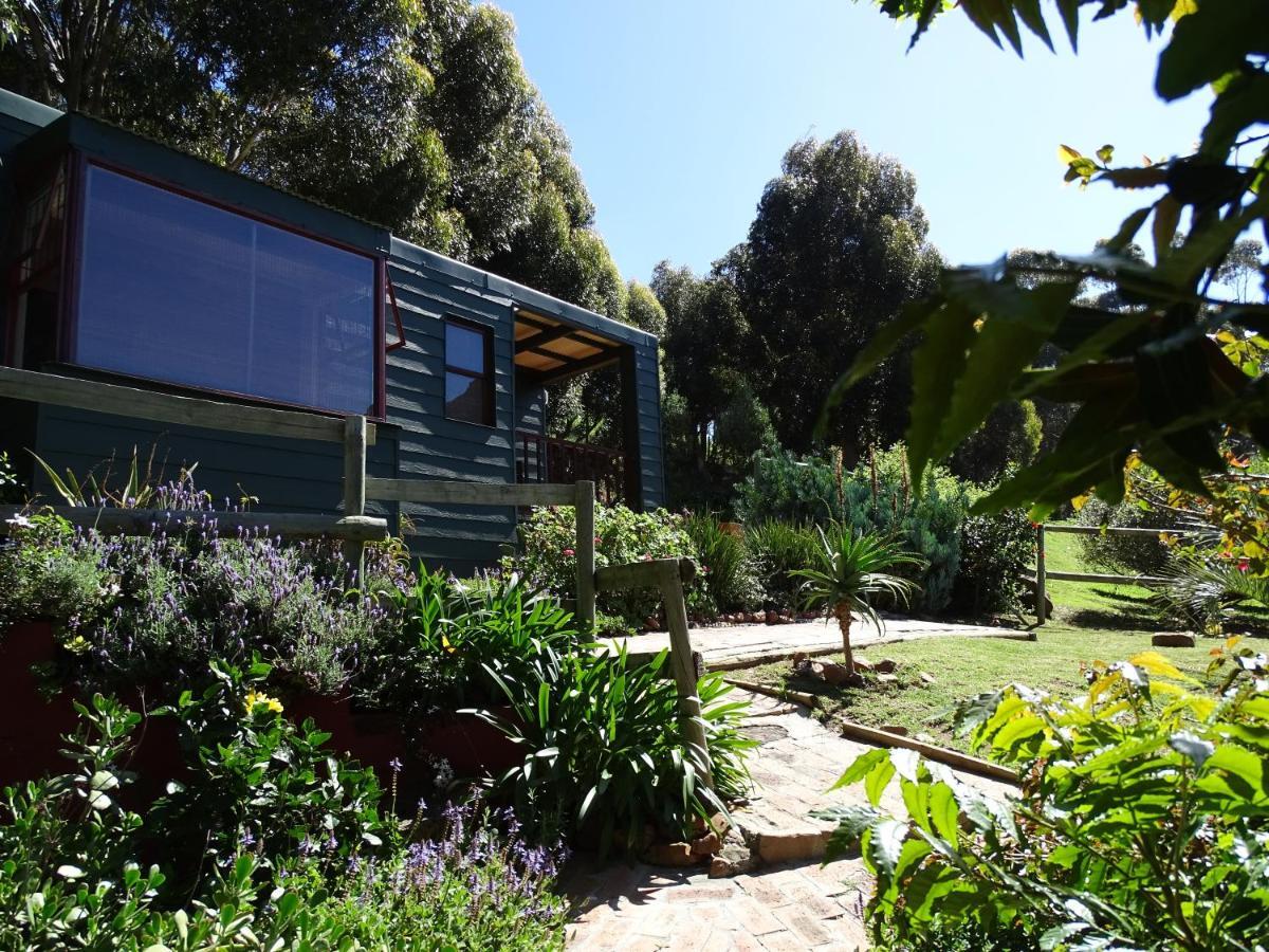 Intaba Lodge Hout Bay Szoba fotó