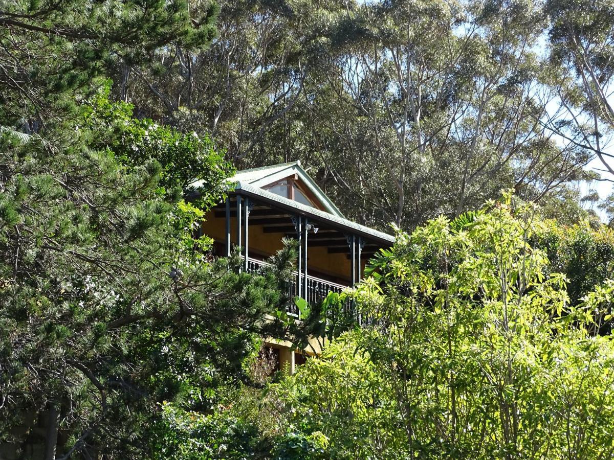 Intaba Lodge Hout Bay Kültér fotó
